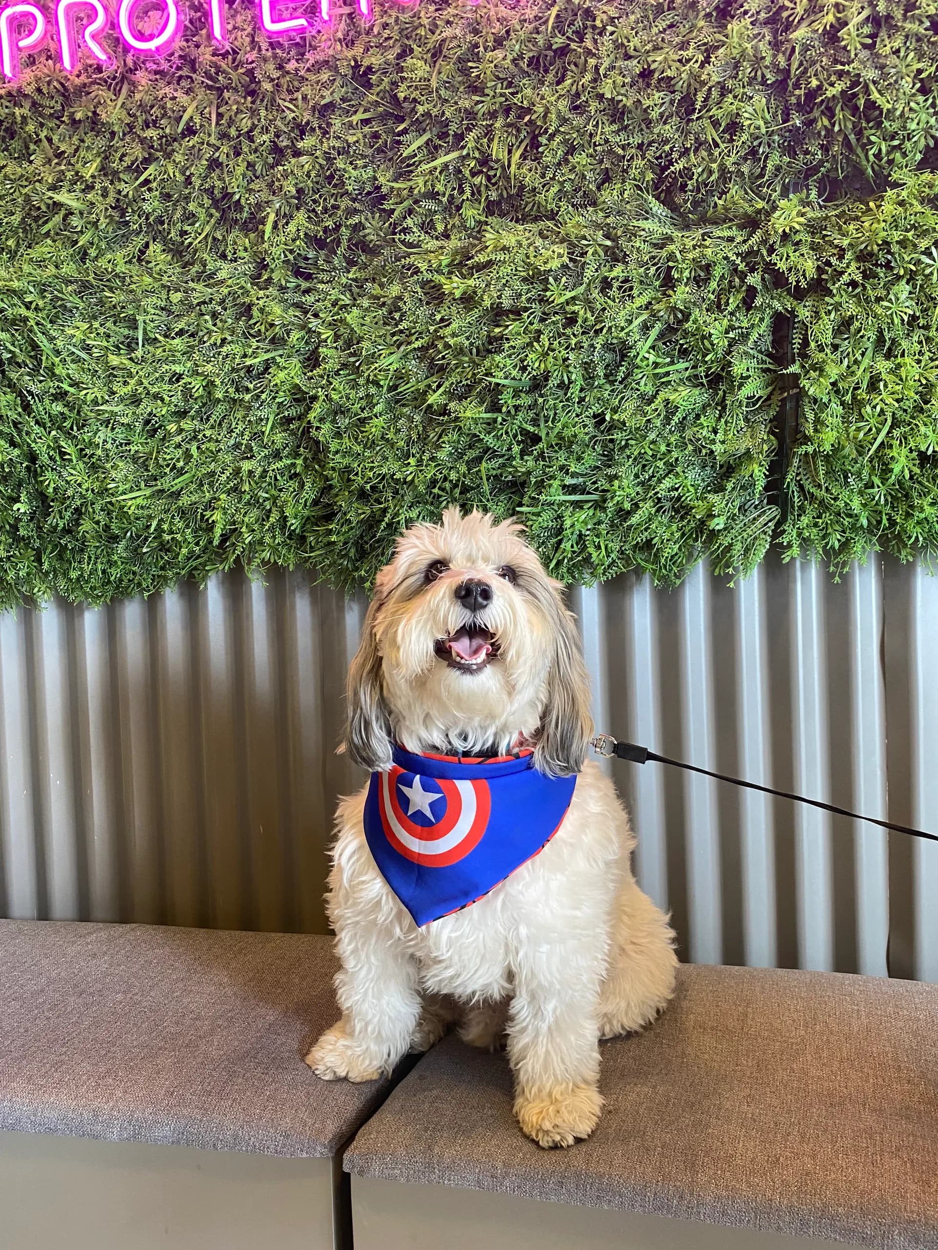 Cooper sonriendo con su pañuelo de superhéroe frente a un jardín vertical